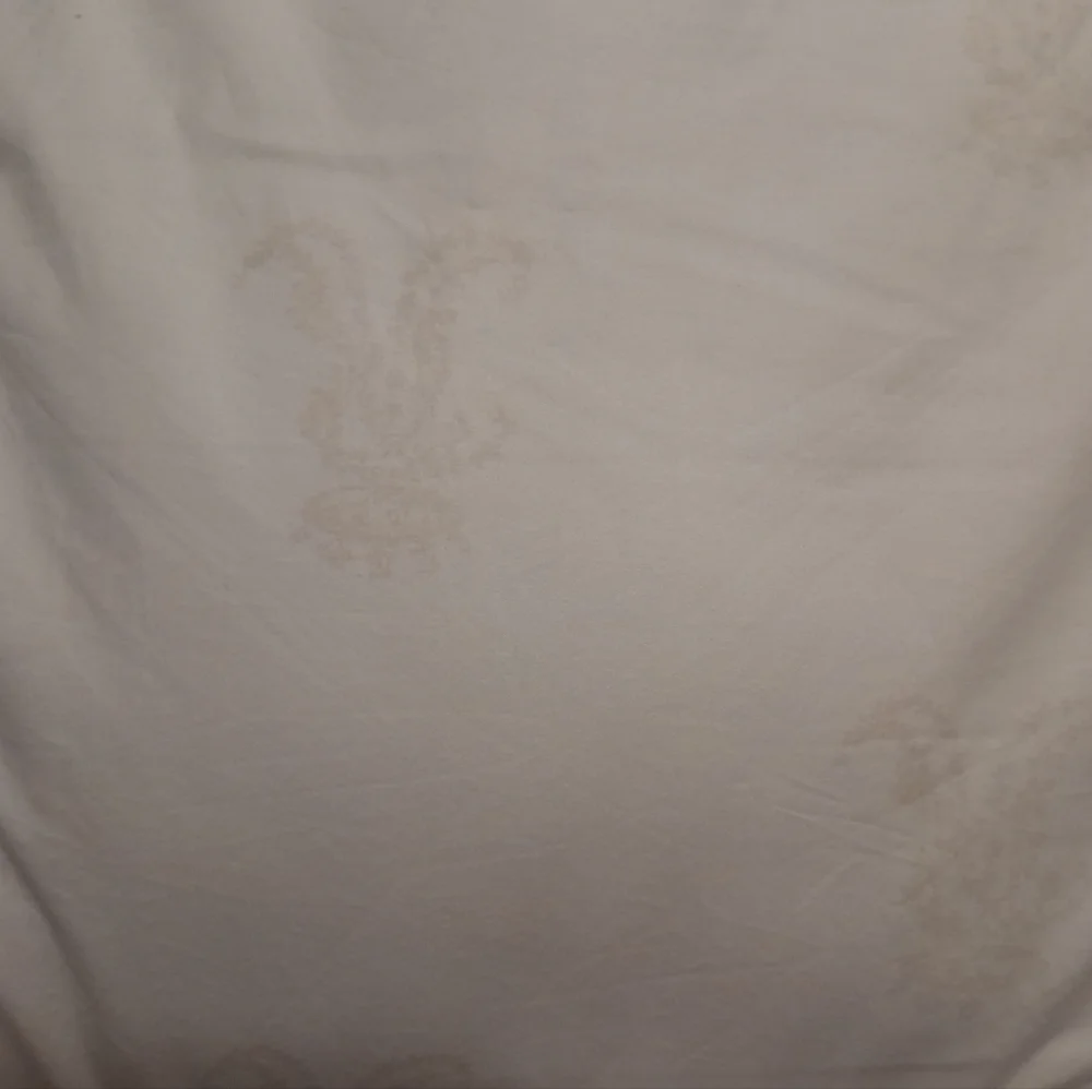 Brand New Rachel Ashwell Simply Shabby Chic GOOSE DOWN COMFORTER TWIN